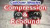 Double Adjustable Shocks Drag Racing Shock Adjustments Coilovers