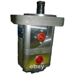 Pompe hydraulique double adaptée pour Case IH 3063911R93 384 3444 444 384 avec direction assistée